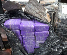 PCPR prende homem com 150 quilos de maconha na BR-277