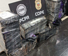 PCPR prende homem com 150 quilos de maconha na BR-277