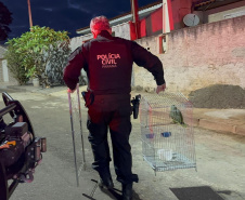 PCPR prende 12 em operação contra organização criminosa envolvida com tráfico e tribunal do crime em Jacarezinho