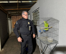 PCPR prende 12 em operação contra organização criminosa envolvida com tráfico e tribunal do crime em Jacarezinho