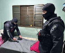 PCPR prende 12 em operação contra organização criminosa envolvida com tráfico e tribunal do crime em Jacarezinho