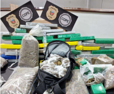 PCPR apreende 327 quilos de maconha gourmet e prende três pessoas por tráfico