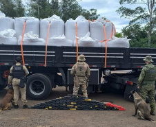 Faro apurado: canis da PMPR causam prejuízo de R$ 900 milhões ao crime desde 2023