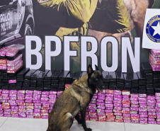 Faro apurado: canis da PMPR causam prejuízo de R$ 900 milhões ao crime desde 2023