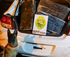 Faro apurado: canis da PMPR causam prejuízo de R$ 900 milhões ao crime desde 2023