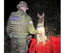 Faro apurado: canis da PMPR causam prejuízo de R$ 900 milhões ao crime desde 2023