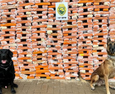Faro apurado: canis da PMPR causam prejuízo de R$ 900 milhões ao crime desde 2023