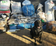 Faro apurado: canis da PMPR causam prejuízo de R$ 900 milhões ao crime desde 2023