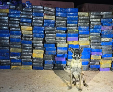 Faro apurado: canis da PMPR causam prejuízo de R$ 900 milhões ao crime desde 2023
