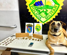 Unidades do Comando de Missões Especiais da PMPR realizam apreensões e prisões durante operação na capital