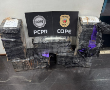 PCPR prende homem com 150 quilos de maconha na BR-277