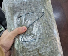 PCPR apreende 327 quilos de maconha gourmet e prende três pessoas por tráfico
