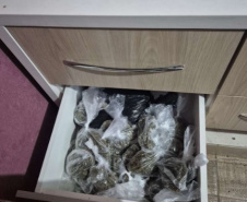 PCPR apreende 327 quilos de maconha gourmet e prende três pessoas por tráfico
