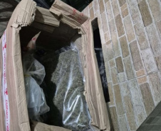 PCPR apreende 327 quilos de maconha gourmet e prende três pessoas por tráfico