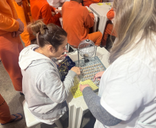 Atividade interdisciplinar para encerramento de semestre mobiliza 600 custodiados nas penitenciárias de Cascavel