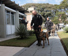 PCPR forma sete condutores em curso inédito de operações policiais com cães