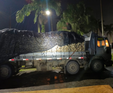 PMPR aplica multa de R$ 1,7 milhão por transporte ilegal de palmito juçara em Morretes