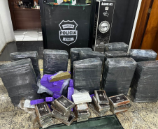 Forças de segurança do Paraná apreenderam mais de um terço das drogas do Brasil em 2024