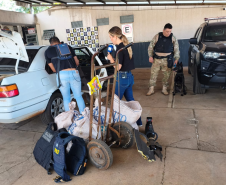 Cadela da Polícia Penal do Paraná encontra 81 kg de maconha em ação com a PRF