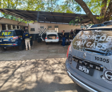 Cadela da Polícia Penal do Paraná encontra 81 kg de maconha em ação com a PRF