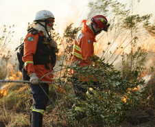 Dias secos e de sol aumentam ainda mais o risco de incêndios causados por balões