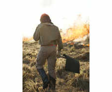 Dias secos e de sol aumentam ainda mais o risco de incêndios causados por balões