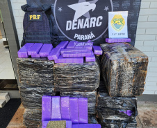 Ação integrada: PCPR, PMPR e PRF interceptam veículo com 468 quilos de maconha no Oeste