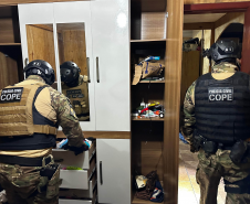 PCPR deflagra operação contra grupo investigado por comércio ilegal de armas no Sudoeste
