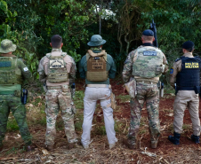Operação Sinergia II termina com 12,4 toneladas de drogas apreendidas e 271 prisões