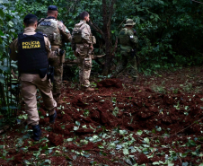 Operação Sinergia II termina com 12,4 toneladas de drogas apreendidas e 271 prisões