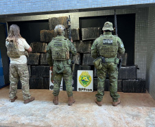 Ação policial integrada resulta na apreensão de 732 kg de maconha em Foz do Iguaçu