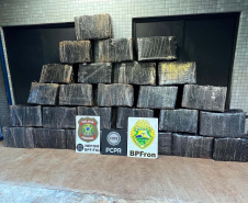 Ação policial integrada resulta na apreensão de 732 kg de maconha em Foz do Iguaçu