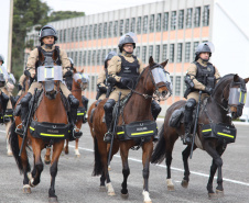 Polícia Militar do Paraná celebra 171 anos de história, serviço e exemplos que arrastam
