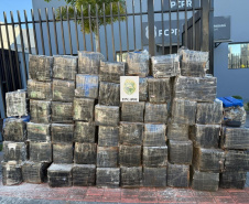 PMPR apreende mais de 1,3 tonelada de maconha em Cambé
