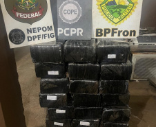 Em ação conjunta, PMPR apreende mais de 400kg de maconha em Foz do Iguaçu