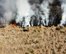 Atear fogo em lixo em terrenos baldios responde por mais de 30% dos incêndios no Paraná