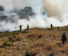Atear fogo em lixo em terrenos baldios responde por mais de 30% dos incêndios no Paraná