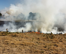 Atear fogo em lixo em terrenos baldios responde por mais de 30% dos incêndios no Paraná