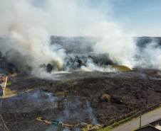 Atear fogo em lixo em terrenos baldios responde por mais de 30% dos incêndios no Paraná