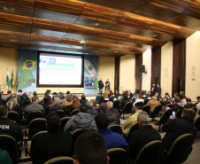 Segurança Pública debate ações contra violência de gênero nas regionais de Curitiba