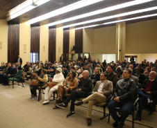 Segurança Pública debate ações contra violência de gênero nas regionais de Curitiba