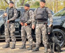 1ª Cãocorrida da CIOC celebra sucesso de cães da PM no combate ao crime