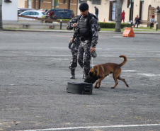 1ª Cãocorrida da CIOC celebra sucesso de cães da PM no combate ao crime