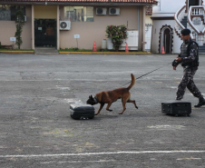 1ª Cãocorrida da CIOC celebra sucesso de cães da PM no combate ao crime