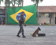 1ª Cãocorrida da CIOC celebra sucesso de cães da PM no combate ao crime