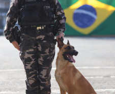 1ª Cãocorrida da CIOC celebra sucesso de cães da PM no combate ao crime