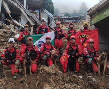 Cães de salvamento e resgate