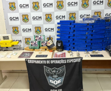 PCPR e GCM prendem dois homens e apreendem 60 quilos de drogas em Ponta Grossa