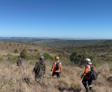 Incêndios florestais caem 50% em agosto no Paraná, mas tempo seco em setembro aumenta o risco