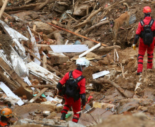 Cães de salvamento e resgate